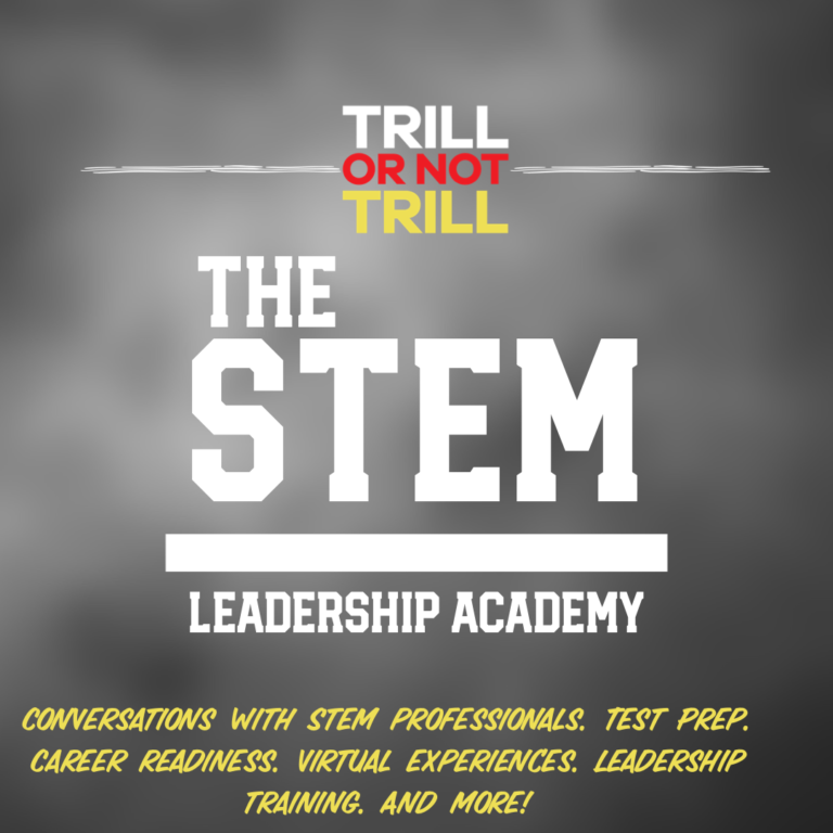 The STEM Academy